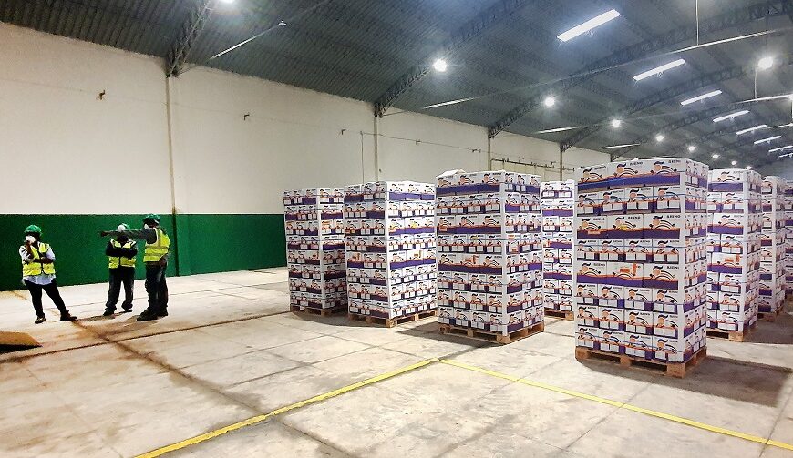 DP World diz que Processou com Êxito Primeira Exportação de Citrinos Refrigerados /2022