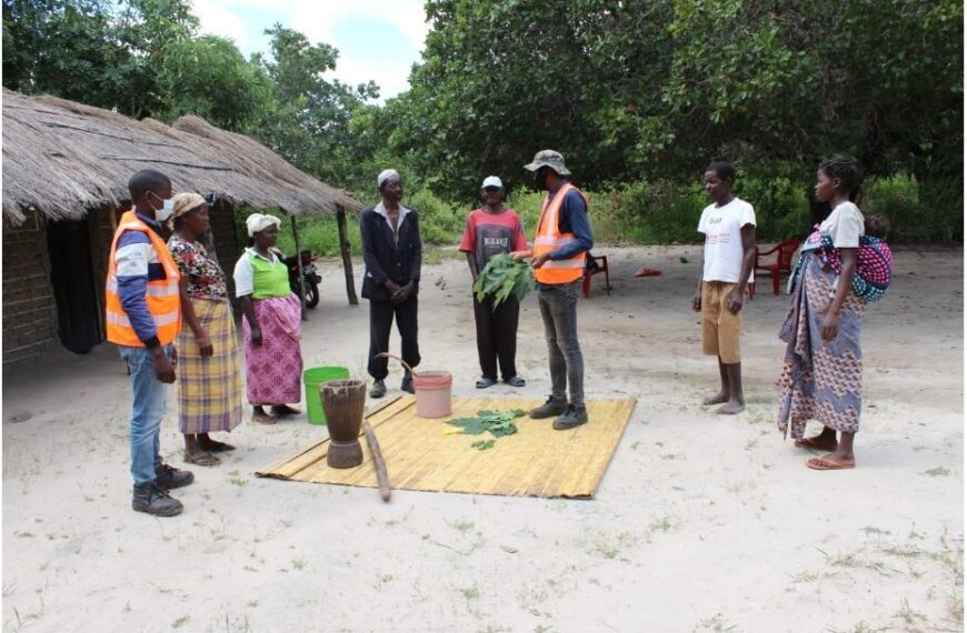 Produtores Locais Recebem Capacitação No Corredor de Nacala