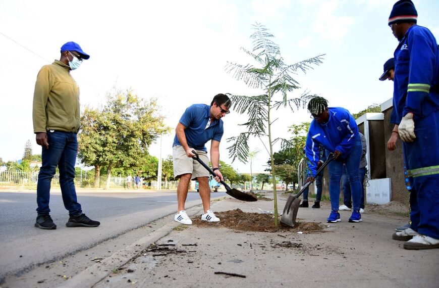 Standard Bank e o Compromisso de Contribuir Para a Redução das Emissões de Carbono no País