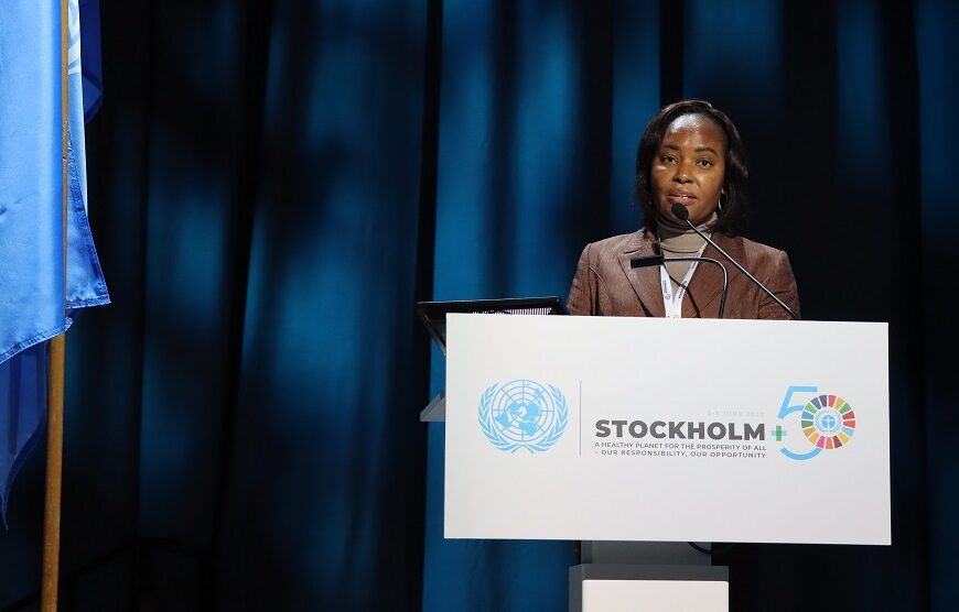 Moçambique Assinala Dia Mundial do Ambiente na ‘Ressaca’ da Conferência Estocolmo +50