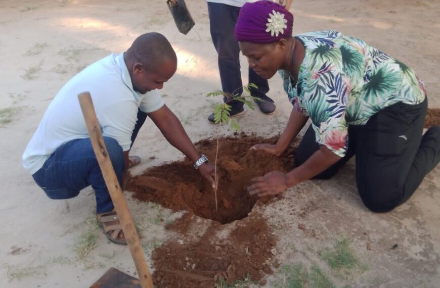 Nacala Logistics Apoia Rearborização da Ilha de Moçambique Após Ciclones