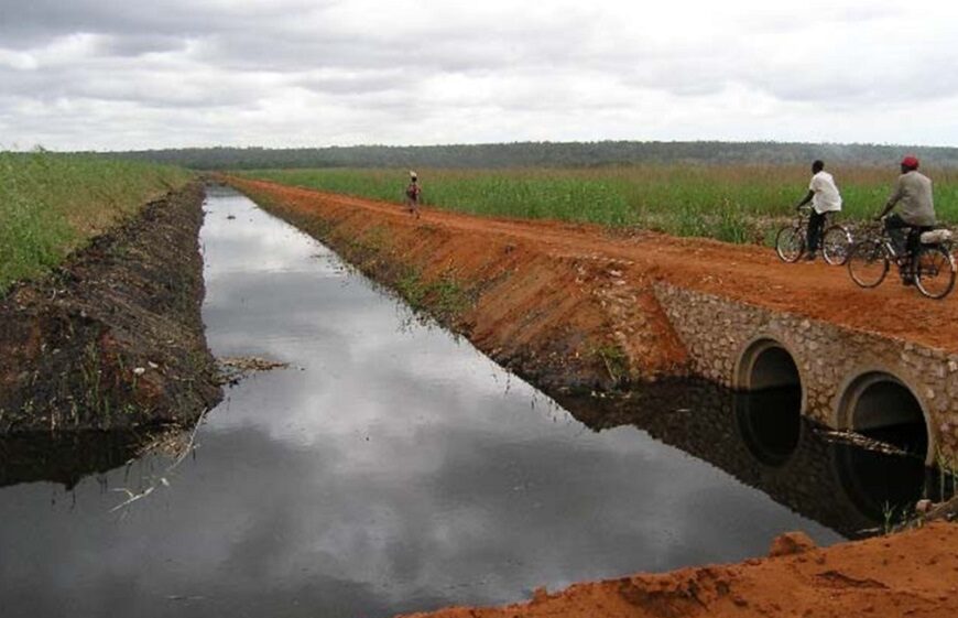 CIP Denuncia Gestão Danosa nos Fundos da Empresa Regadio do Baixo Limpopo