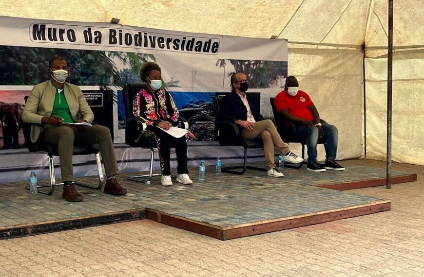 Depois do Access Bank a SMS Catering Diz que Também Pintou o Muro da Biodiversidade