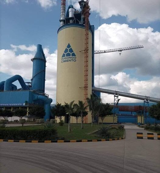 Empresa Moçambique Dugongo Cimentos Sancionada Por Práticas Anticoncorrenciais