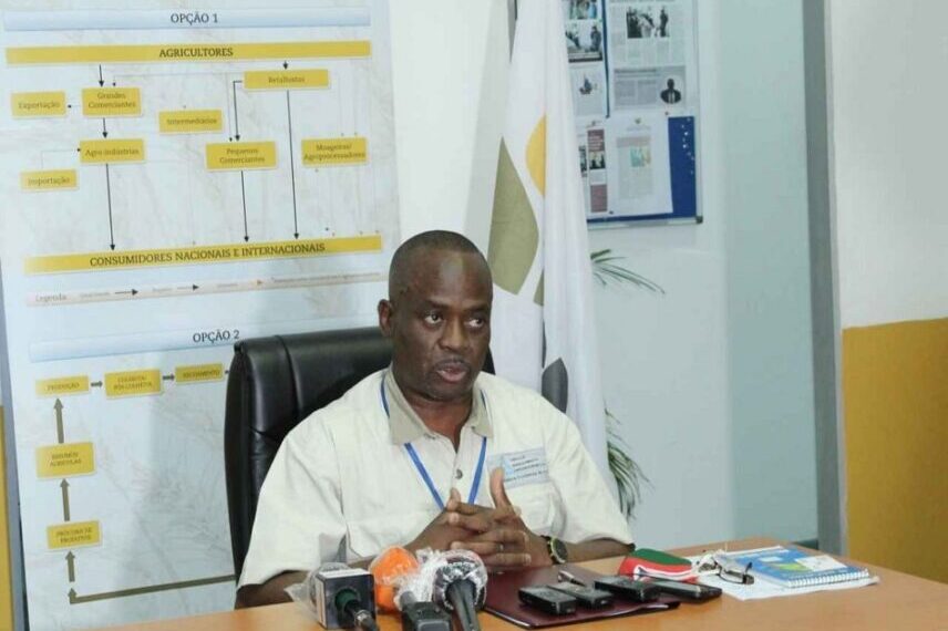 Cerca de 3000 Jovens Engajados na Cadeia de Valor Agrária Pela Agência de Desenvolvimento do Empreededorismo