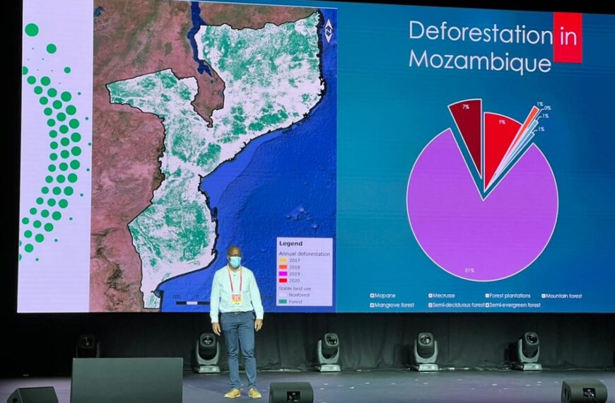 Sector do Carbono Florestal Ganha Impulso com o 2º Workshop Sobre Carbono Azul em Moçambique
