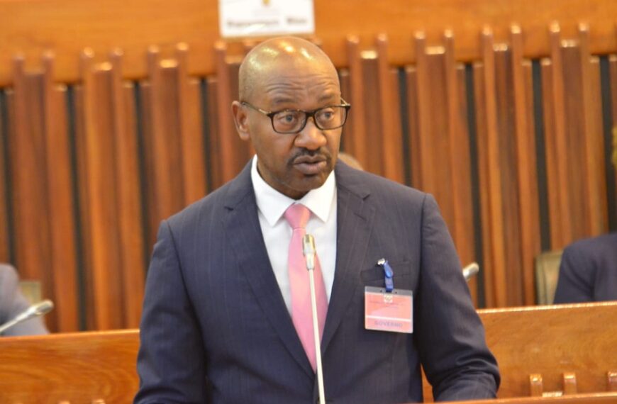 A Viabilização da Tmcel Passa Por Reduzir 60% da Sua Força de Trabalho – Mateus Magala