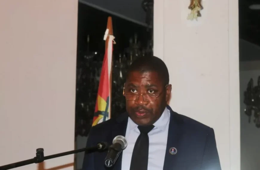 Governo de Maputo Satisfeito Com Desempenho do Sector de Saude