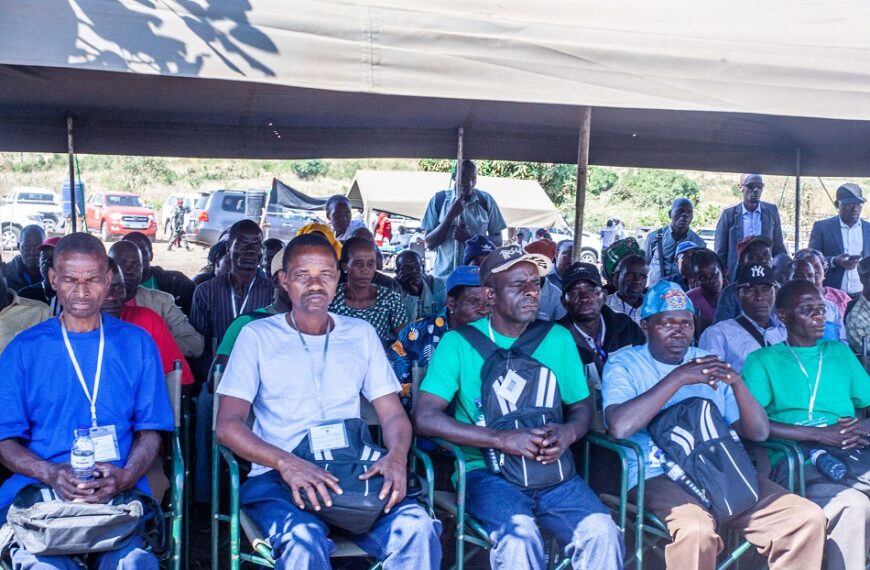 Trechos Camaramen Sobre o Estágio do Processo de DDR e as Assimetrias Sociais