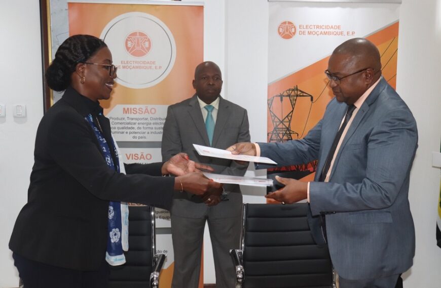 EDM Aposta nos Petizes para o Combate à Vandalização de Infra-estruturas Eléctricas