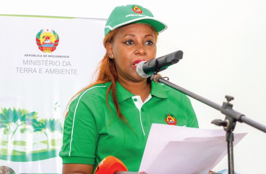 Primeira Reunião do Comité para a Operacionalização da Declaração de Maputo sobre a Gestão de Miombo