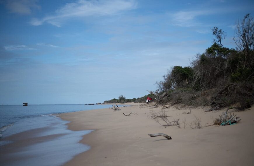 Clube Moza Lança Projecto de Combate à Erosão em Xefina ‘Vamos Plantar Árvores’