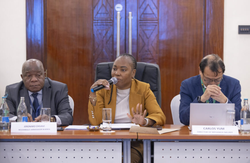 Ministra da Terra Considera Moçambique parte da Solução da Transição Energética Global