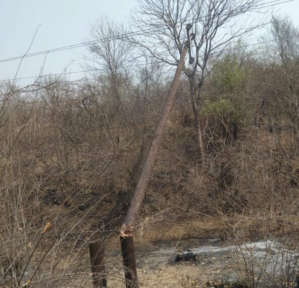 Desconhecidos Vandalizam Postes de Média Tensão e Deixam 8.000 Clientes Sem Energia Eléctrica
