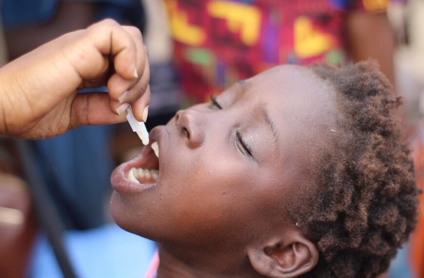 Saúde em Moçambique Acolhe 32ª Reunião da Comissão Africana de Certificação da Pólio