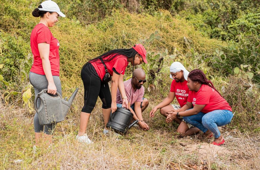 Moza Banco Combate Erosão com Plantio de Cerca de 2 Mil Mudas na Costa da Maxixe