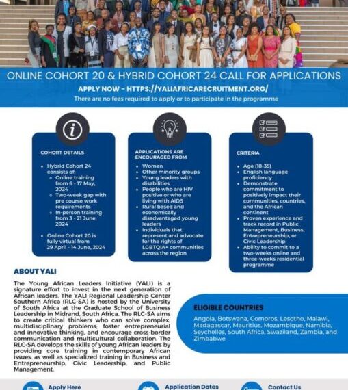 Iniciativa Para Jovens Líderes Convida Jovens Africanos a Participar na Formação Online