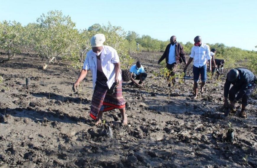 Lançado em Maputo Projecto CbaScale+ Sobre Preservação dos Ecossistemas no Norte de Inhambane
