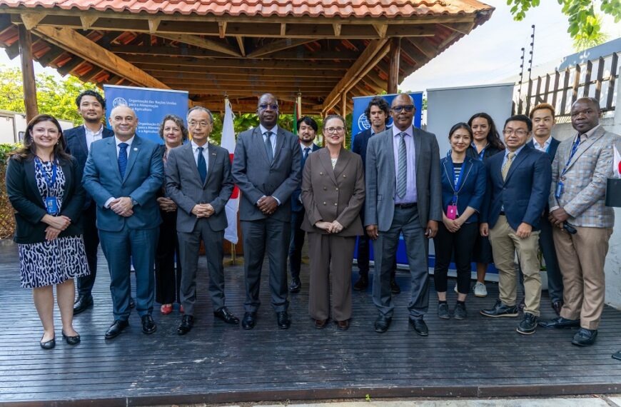 Japão Anuncia Quase 1,7 Milhões de Dólares Para Assistência Humanitária em Cabo Delgado
