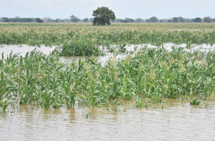 World Vision Apela Ao Fortalecimento de Mecanismos de Resposta Às Inundações Urbanas