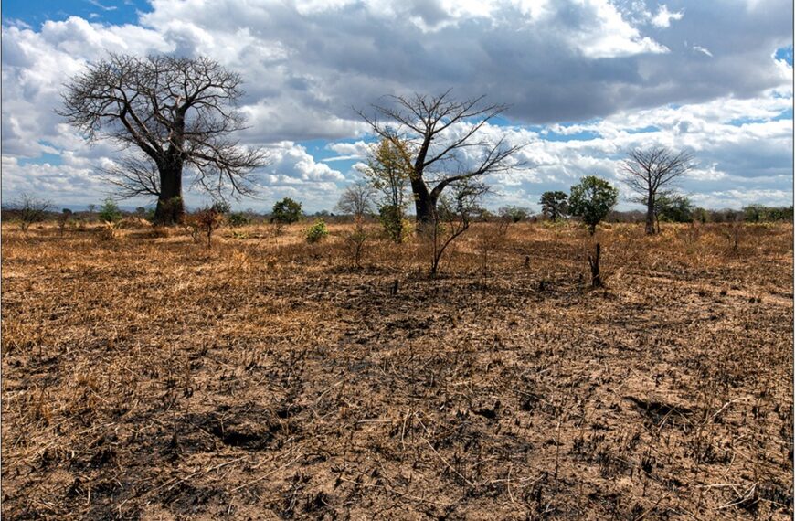 SADC Diz Que Mais de 61 Milhões de Pessoas Vivem os Impactos do El Niño na Região