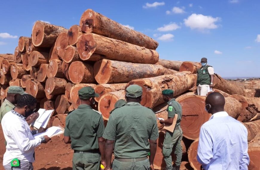 ‘Moçambique Eclipsou outros Países Africanos como Principal Fornecedor de Pau-preto à China’