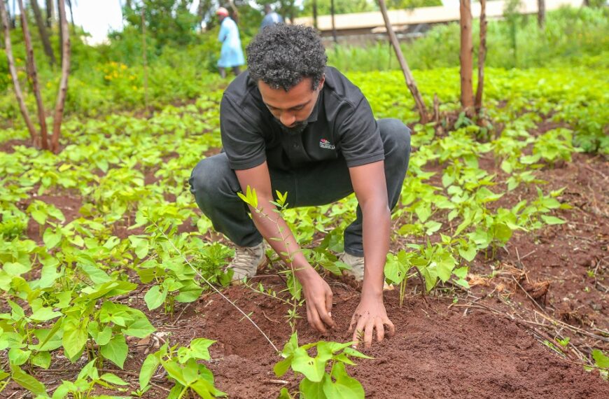 Earthshot: Cineastas da MTF Mostram o Desafio Ambiental de África