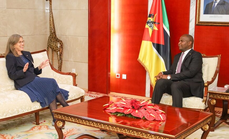 Presidente da República Destaca Importância da Parceria Estratégica entre Moçambique e Suécia