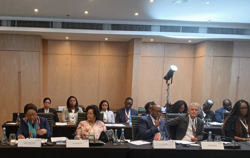 Ministra das Finanças Reavalia Portofolio de Projectos com Novo Presidente do BADEA