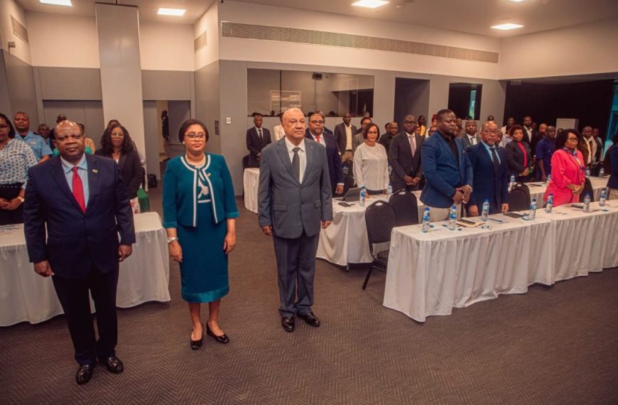 Arranca Auscultação Pública Sobre Criação do Banco de Desenvolvimento de Moçambique