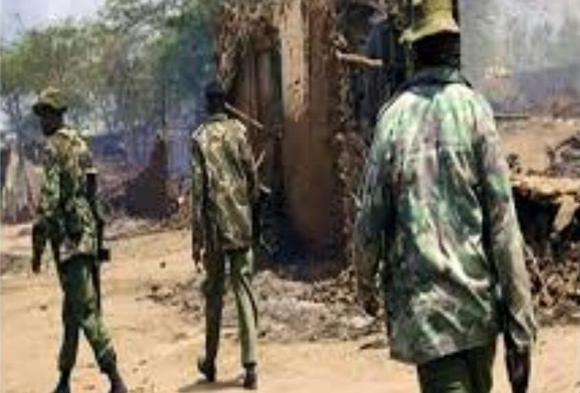 FADM Travam Incêndio Terrorista nas Aldeias de Juravo e Tacuane Distrito de Chiúre em Cabo Delgado