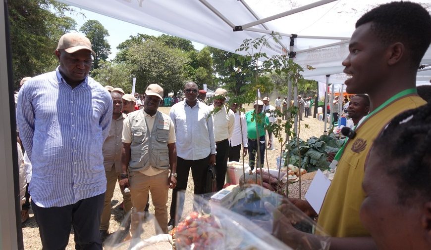 Voluntários da Tzu Chi Prevê Produzir Mais de Mil Toneladas para Alimentar Alunos e Doentes na Campanha 2025- 2026