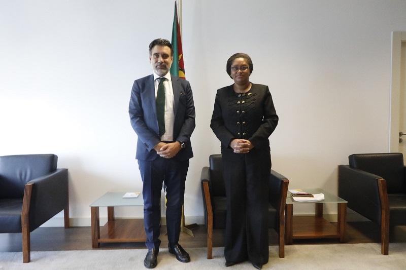 Carla Loveira Fala da Retoma do Projecto da TotalEnergies em Audiência ao Director Executivo do BAD