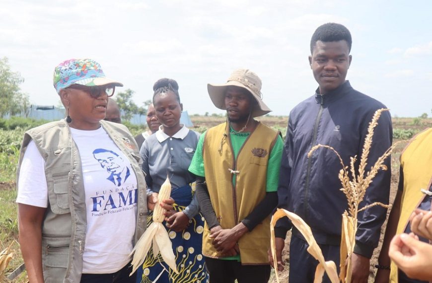 Instituto de Investigação Agrária de Moçambique Enaltece Produção de Voluntários da Tzu Chi em Mecuzi
