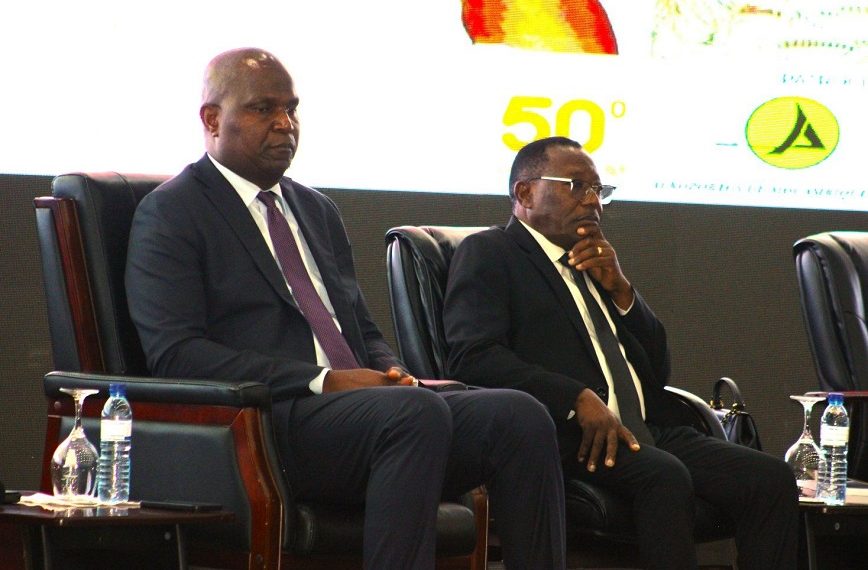 Daniel Chapo e a Assembleia da República Como Pólo de Convergência Democrática do Veterano Carlos Siliya