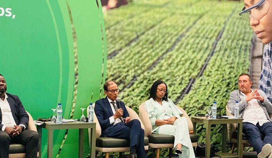 Especialista do Moza Defende Maior Cooperação Entre Pequenos Produtores para Obtenção de Financiamento