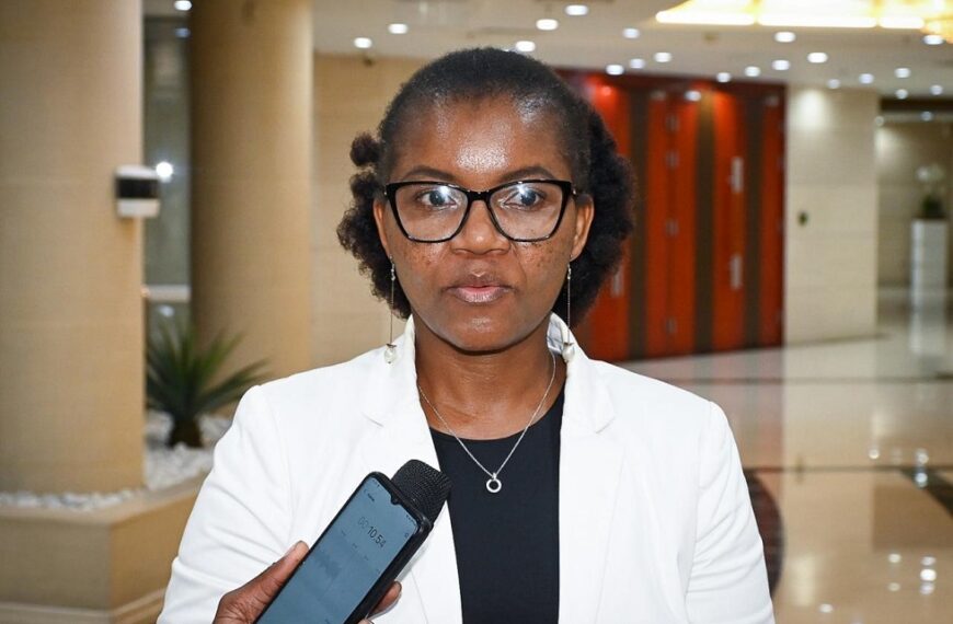 Governo e Parceiros Harmonizam Proposta do Estatuto do Artista Moçambicano em Maputo